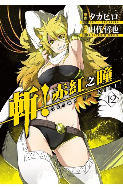 斬!赤紅之瞳(12)封面