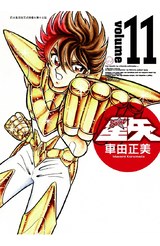 聖鬪士星矢完全版(11)封面