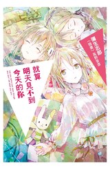 輕小說 就算明天見不到今天的你封面